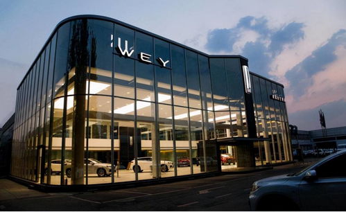 格局的力量 比亞迪無償轉讓“魏”商標，長城魏建軍深情感動