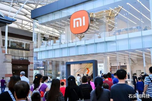 新舊雙雄 價格與配置俱佳的手機，助力互聯網接入及相關服務