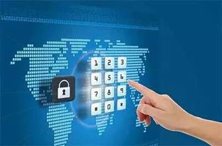 網(wǎng)絡時代個人信息安全的刑法保護